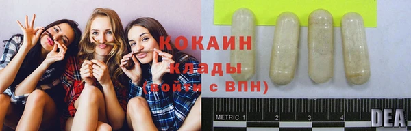 дживик Баксан