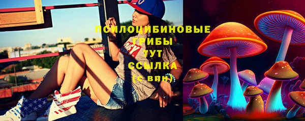 твердый Балахна