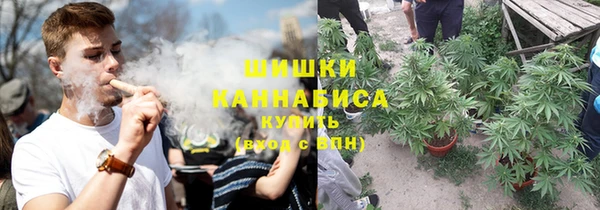 дживик Баксан