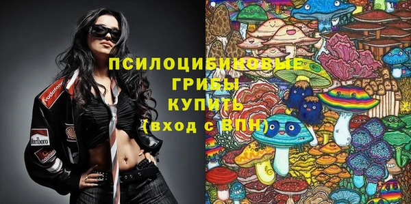 твердый Балахна